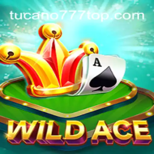 Explorando o Mundo do Jogo WildAce: Regras e Mecânicas